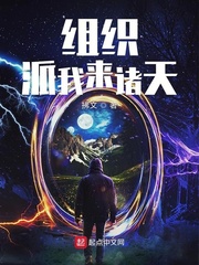 组织派我来诸天 小说