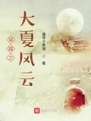 穿越之大夏风云免费阅读小说