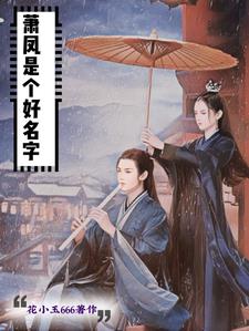 萧什么风小说免费阅读