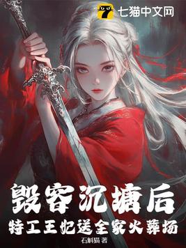 特工王妃视频